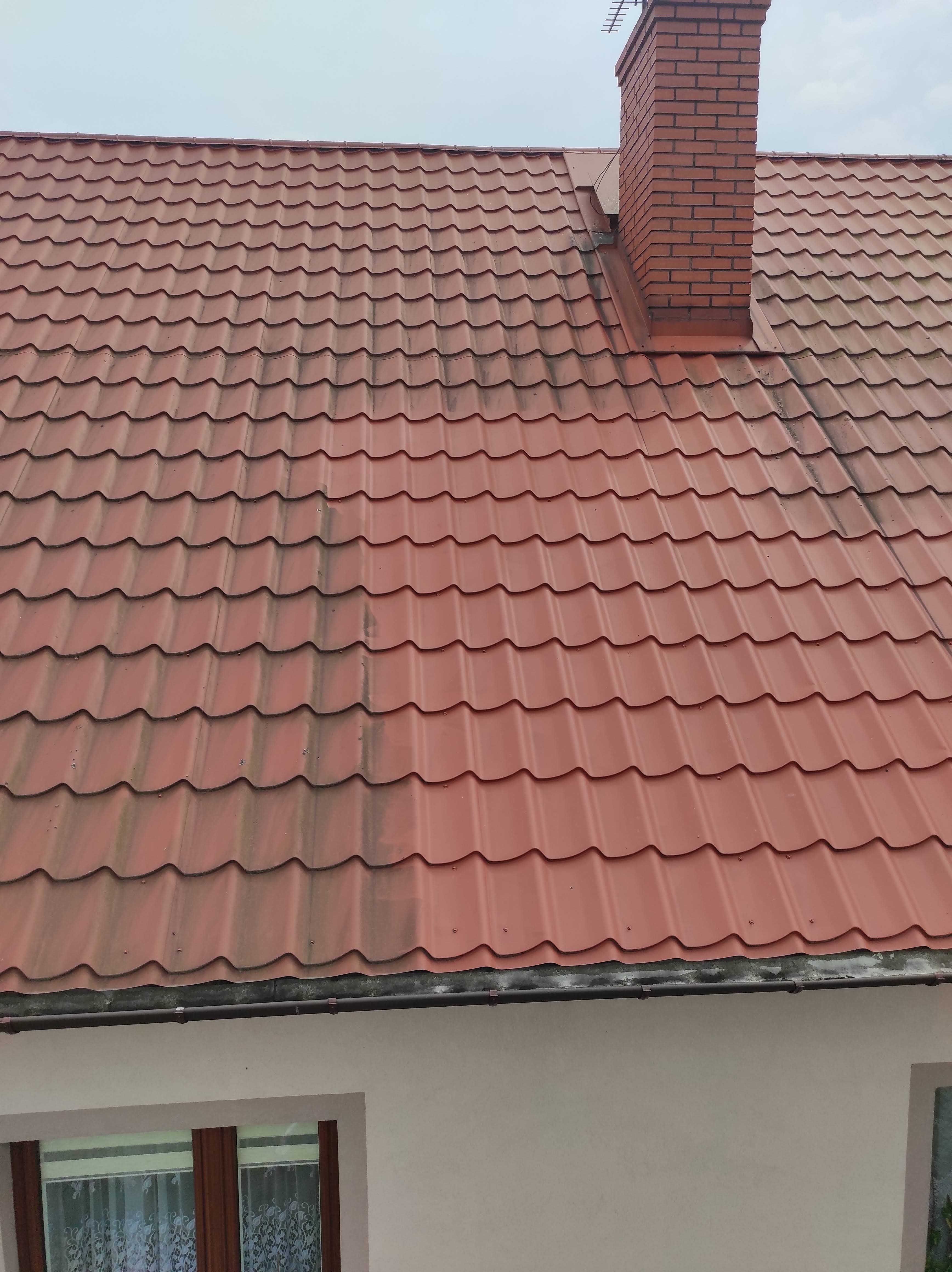 Dach 1