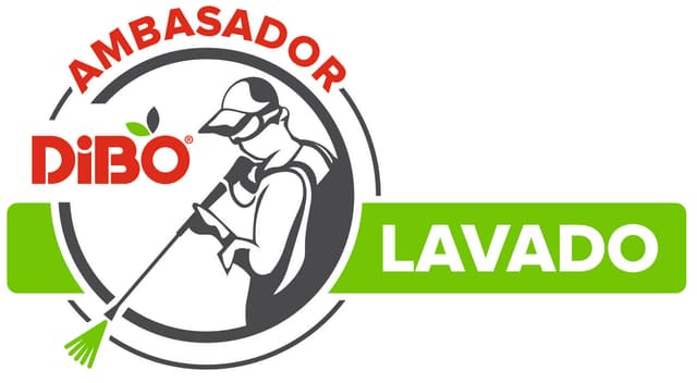 lavado-expert